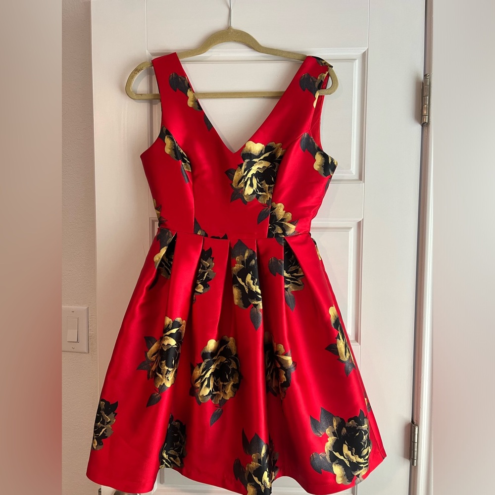 Luxe Apothetique dress